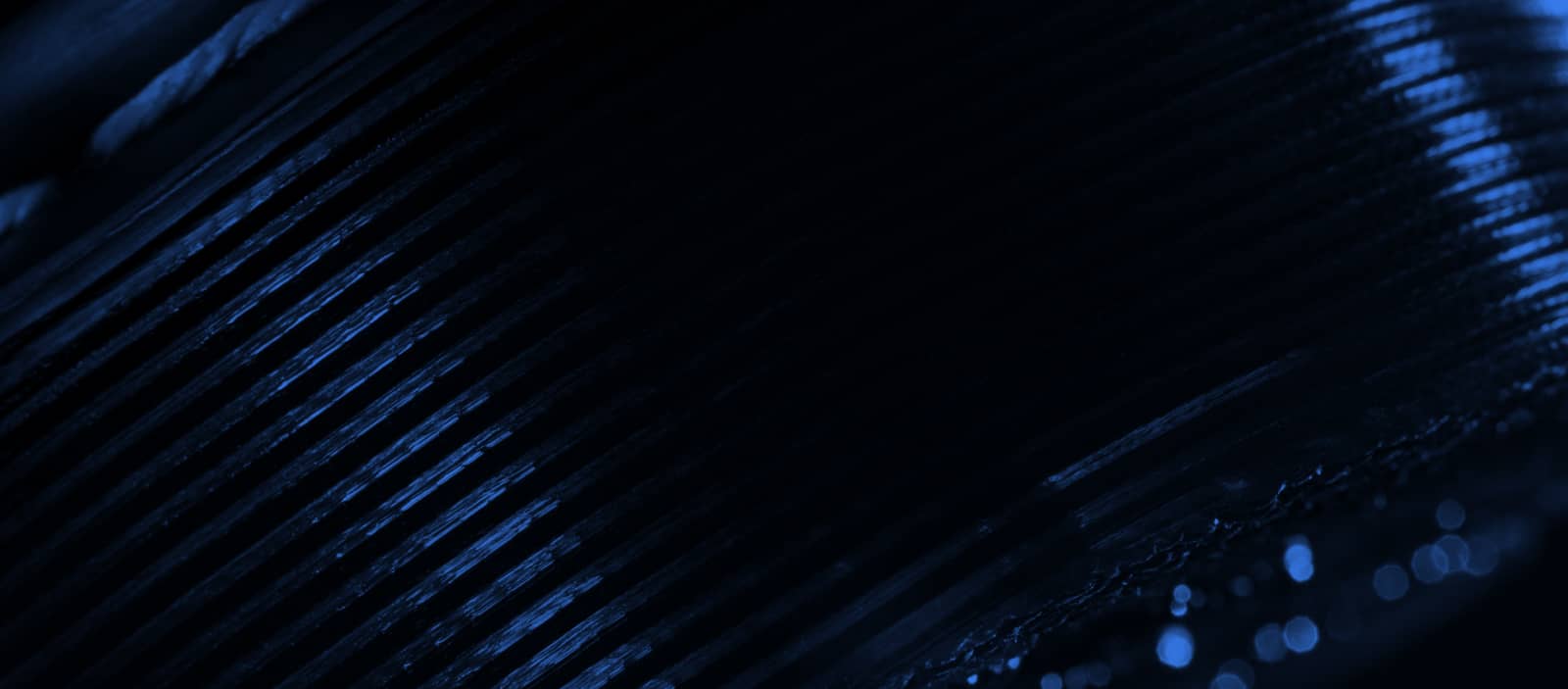 MEMBER SALE